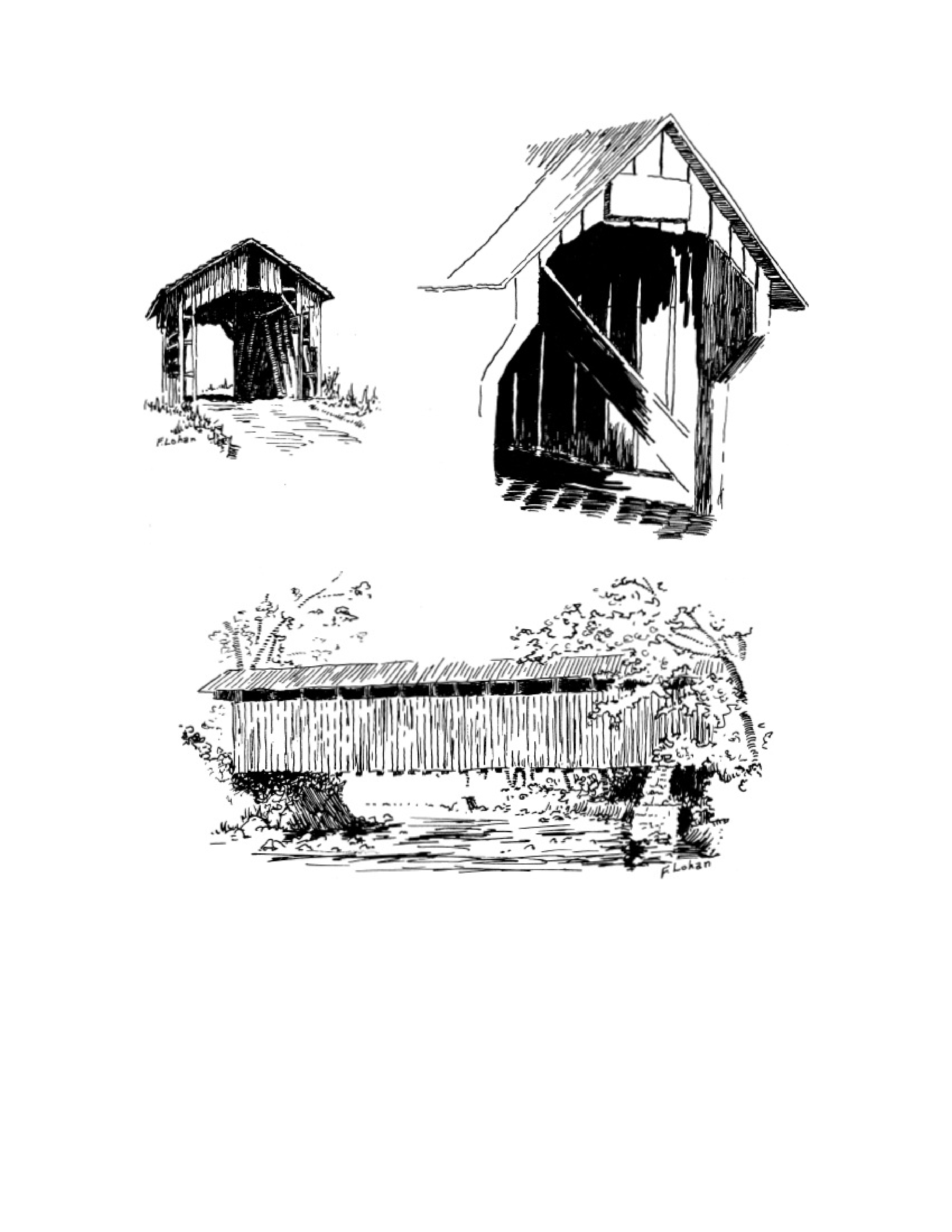 آموزش نقاشی طراحی سیاه قلم شهرری